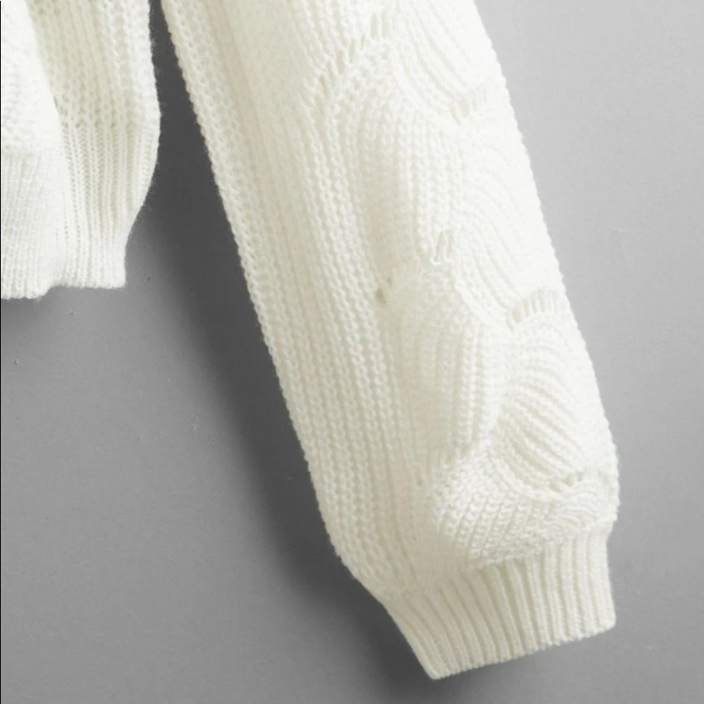 🤩host pick!🤩Pointelle knit ivory sweater - Picture 4 of 6